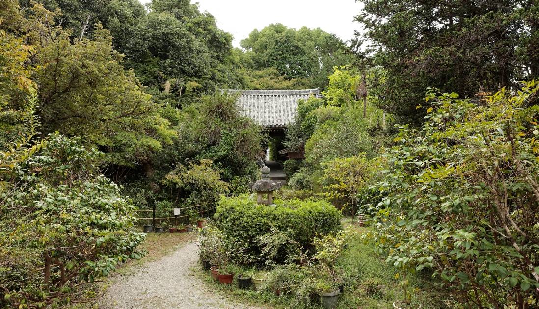 たくさんの木々に囲まれたお寺の入口