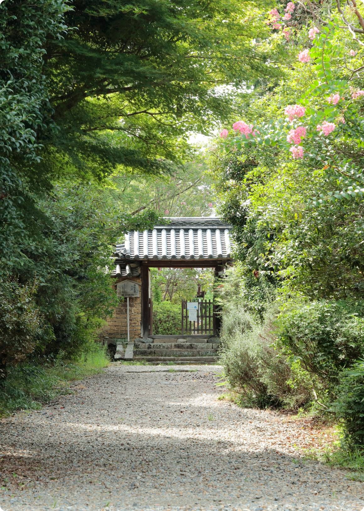 新緑の木々の中に佇むお寺の入口