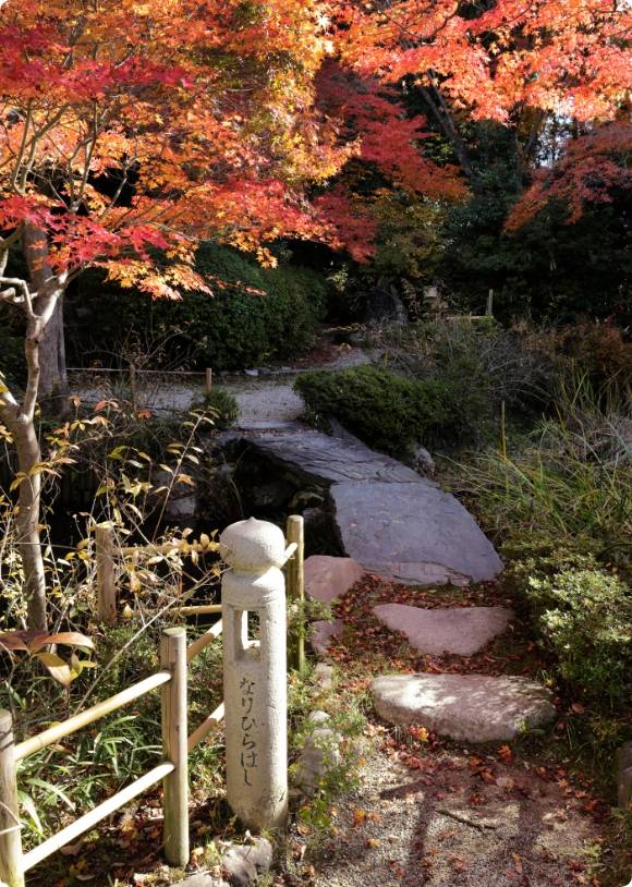 赤く色づき始めた紅葉となりひらはし