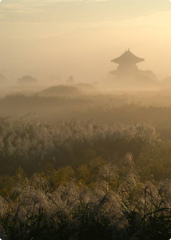 濃い霧の中に見えるススキとお寺