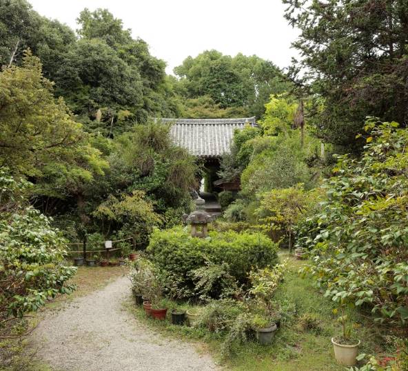 不退寺